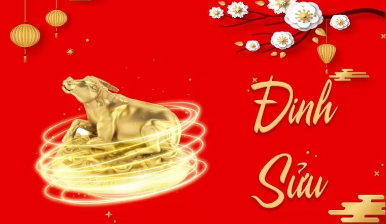 Tổng quan về gia chủ tuổi Đinh Sửu 1997