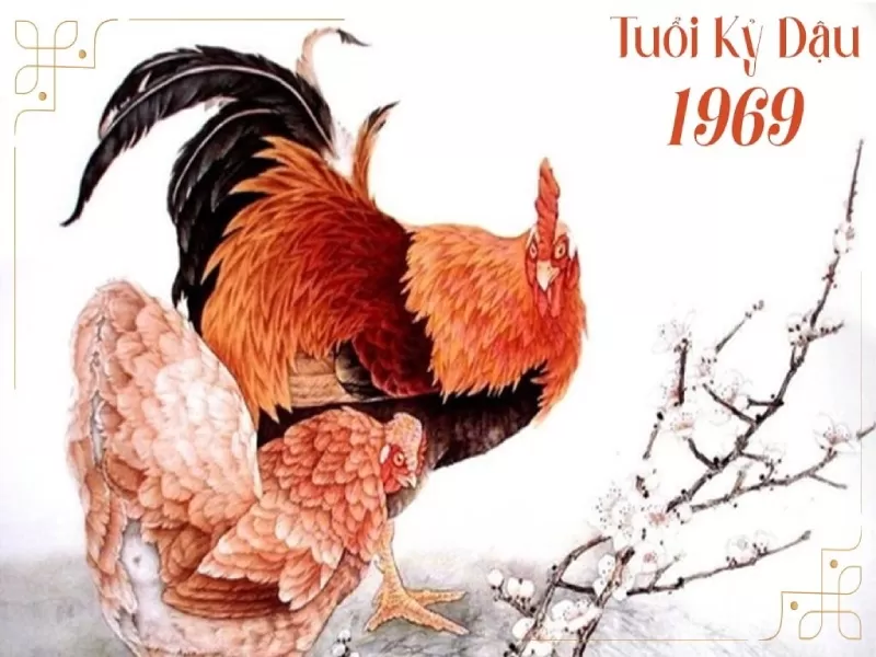 Tổng quan về tuổi Kỷ Dậu 1969