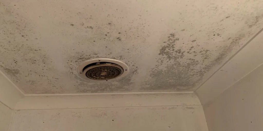 Trần nhà bị thấm dột mà không sửa chữa sẽ tạo điều kiện cho nấm mốc phát triển.