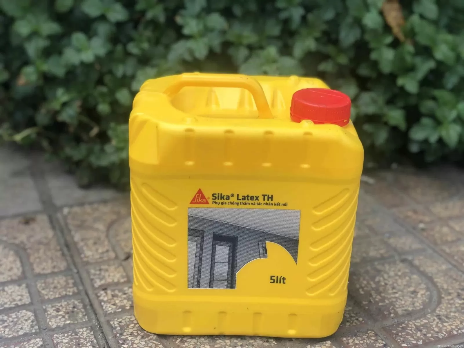 Sika Latex là chất kết dính chống thấm hiệu quả cho gạch nền và tường