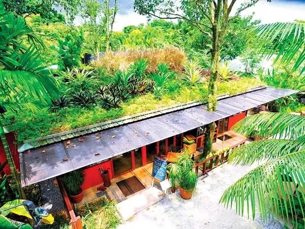 Chống nóng cho mái tôn