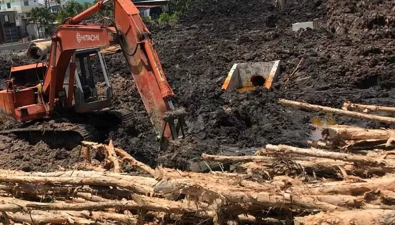 Phương pháp đóng cừ tràm gia cố nền đất yếu