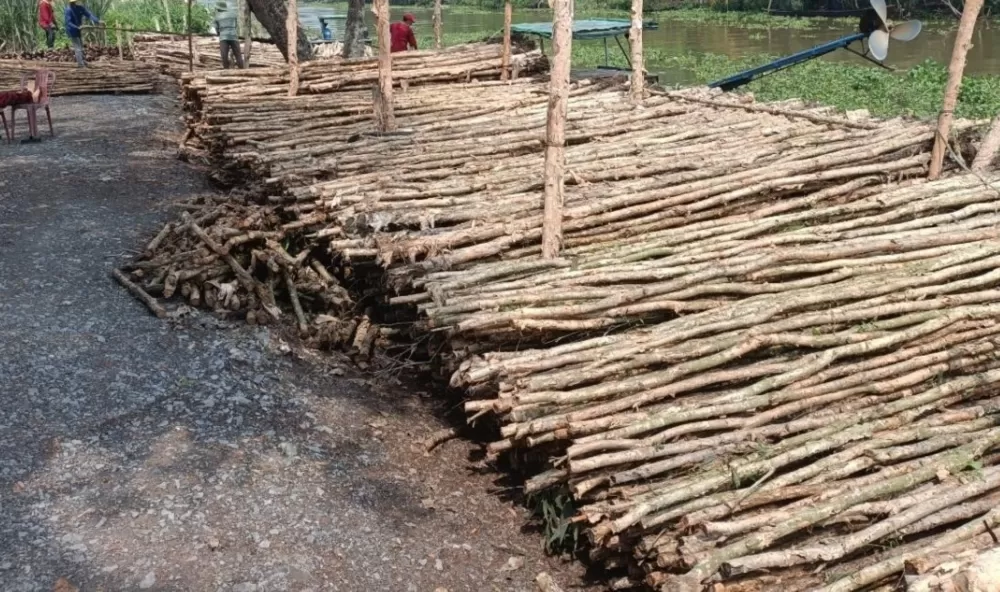 Kiểm tra độ sâu và độ nghiêng của cừ tràm