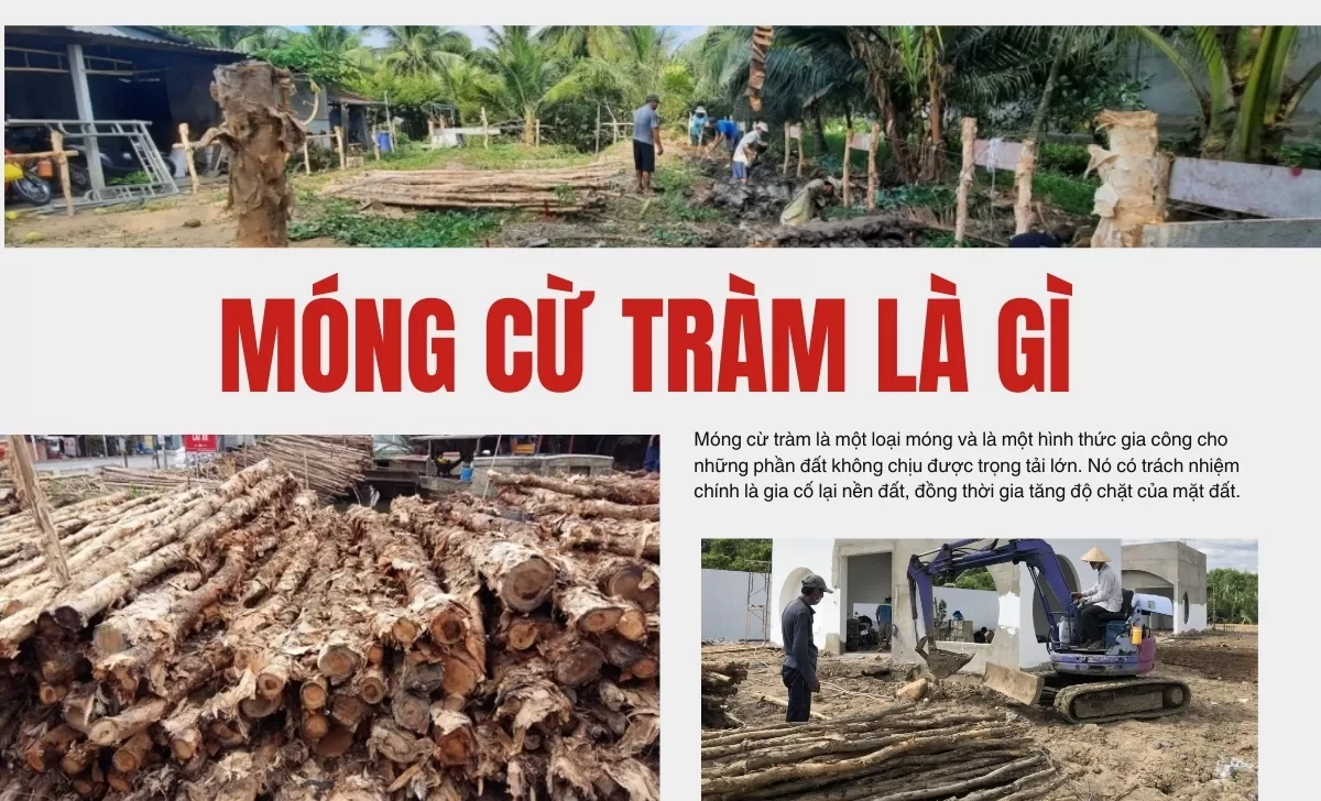 Móng cừ tràm là gì