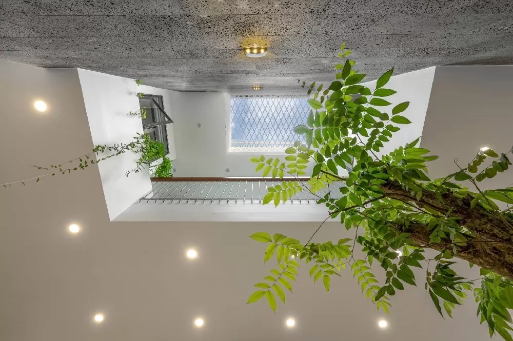 Mái giếng trời nhà ống bằng kim loại