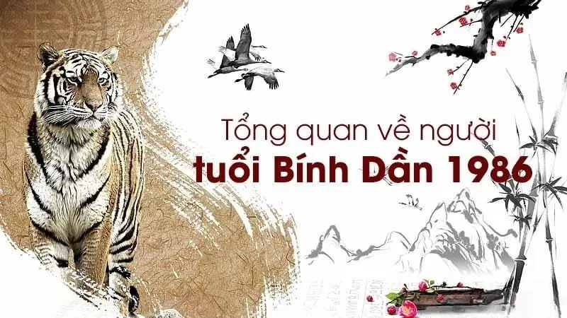 Căn cứ luận giải tuổi Bính Dần 1986 xây nhà năm 2025