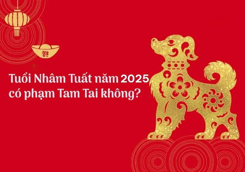 Năm 2025 tuổi Nhâm Tuất có phạm Tam Tai không