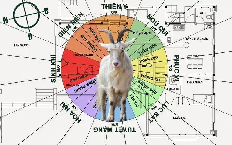 Thông tin tổng quan gia chủ tuổi 1991