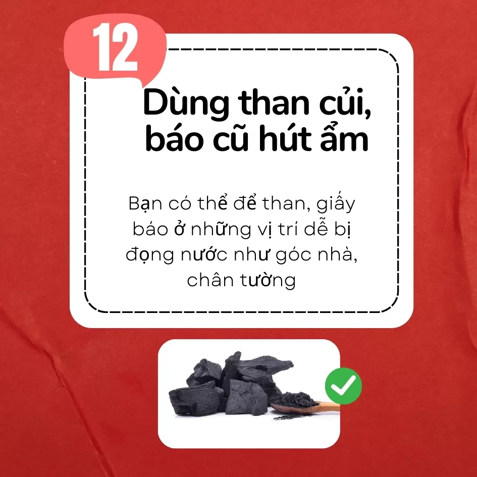  Dùng than củi, báo cũ hút ẩm