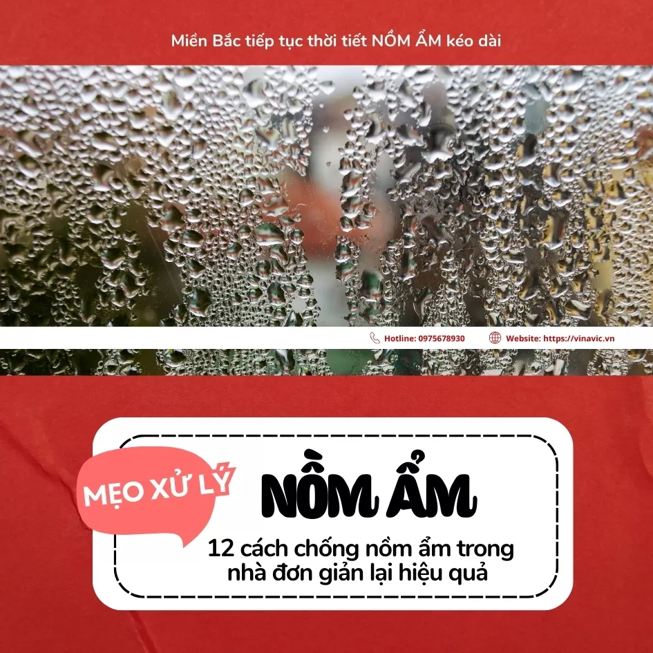 12 mẹo chống nồm ẩm cho nhà hiệu quả mà đơn giản