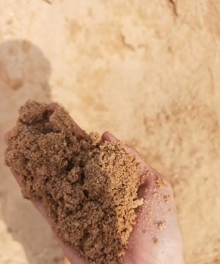 Tiêu chuẩn cát vàng đổ bê tông là gì?