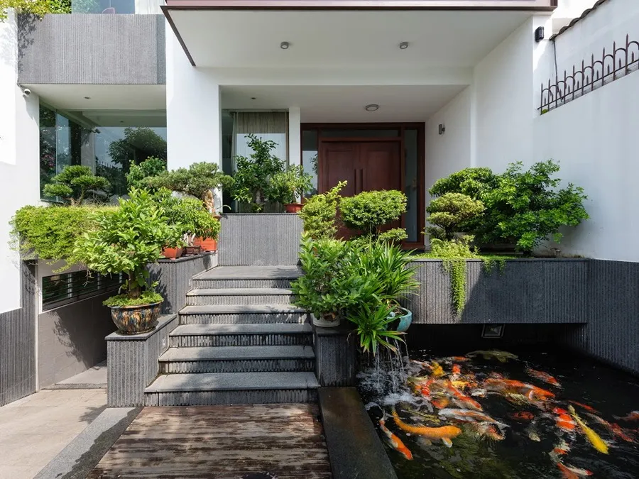 Tránh xây hồ để ánh nắng chiếu trực tiếp, nước sẽ bị nóng quá, sinh rêu tảo, ảnh hưởng thẩm mỹ và Khí.