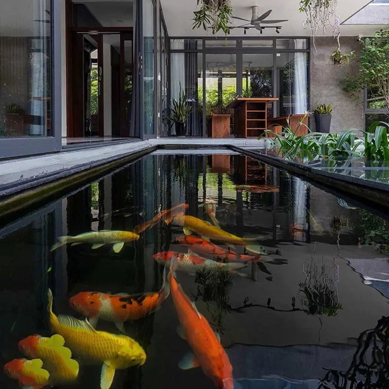 Xây hồ cá trước nhà vừa đẹp vừa hợp phong thủy
