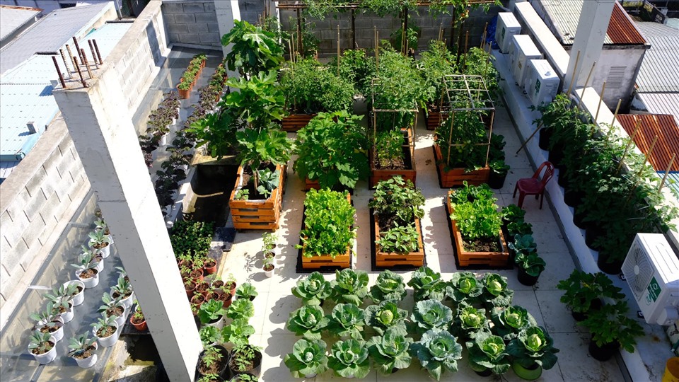 Thiết kế sân vườn nhỏ ở sân sau nhà ống