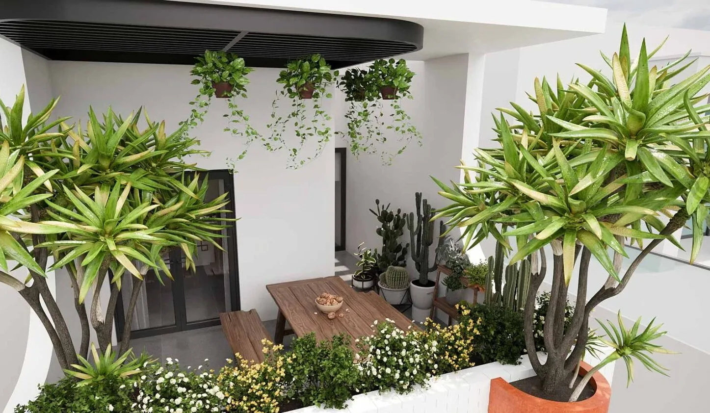 Sân sau nhà ống đẹp hiện đại