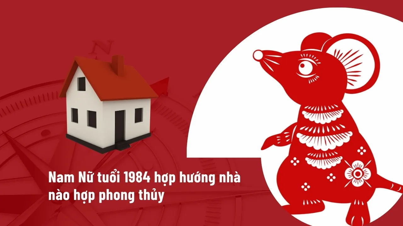 Nam Nữ tuổi 1984 hợp hướng nhà nào hợp phong thủy