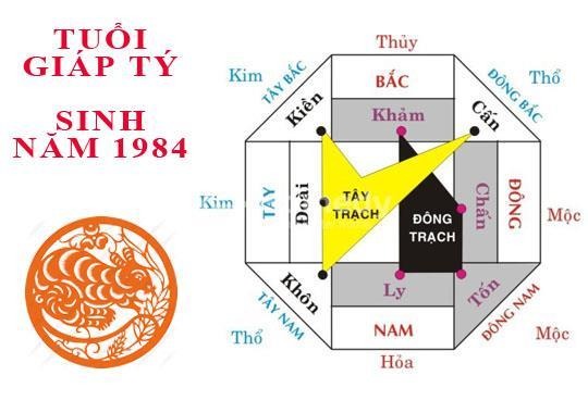 Sơ đồ Bát Trạch phong thủy các hướng nhà đại cát cho Nữ tuổi 1984 Giáp Tý, cung Cấn, giúp thu hút tài lộc.