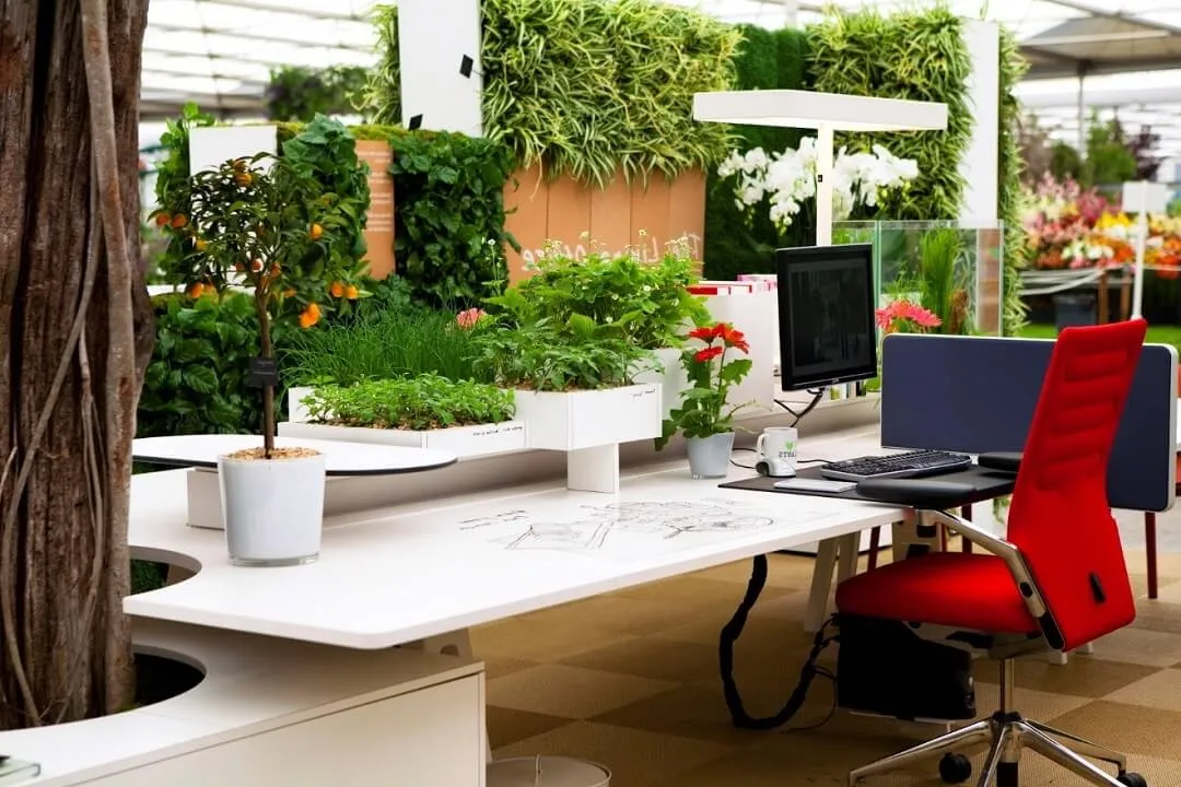 Văn phòng tối giản với mảng tường cây xanh làm điểm nhấn, ánh sáng tự nhiên ngập tràn, thể hiện xu hướng thiết kế nội thất văn phòng phong cách tối giản Biophilic.