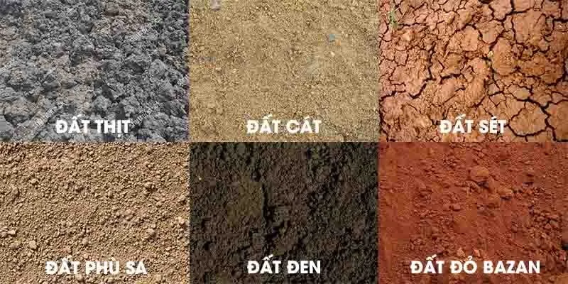 Các loại đất yếu thường gặp trong thi công
