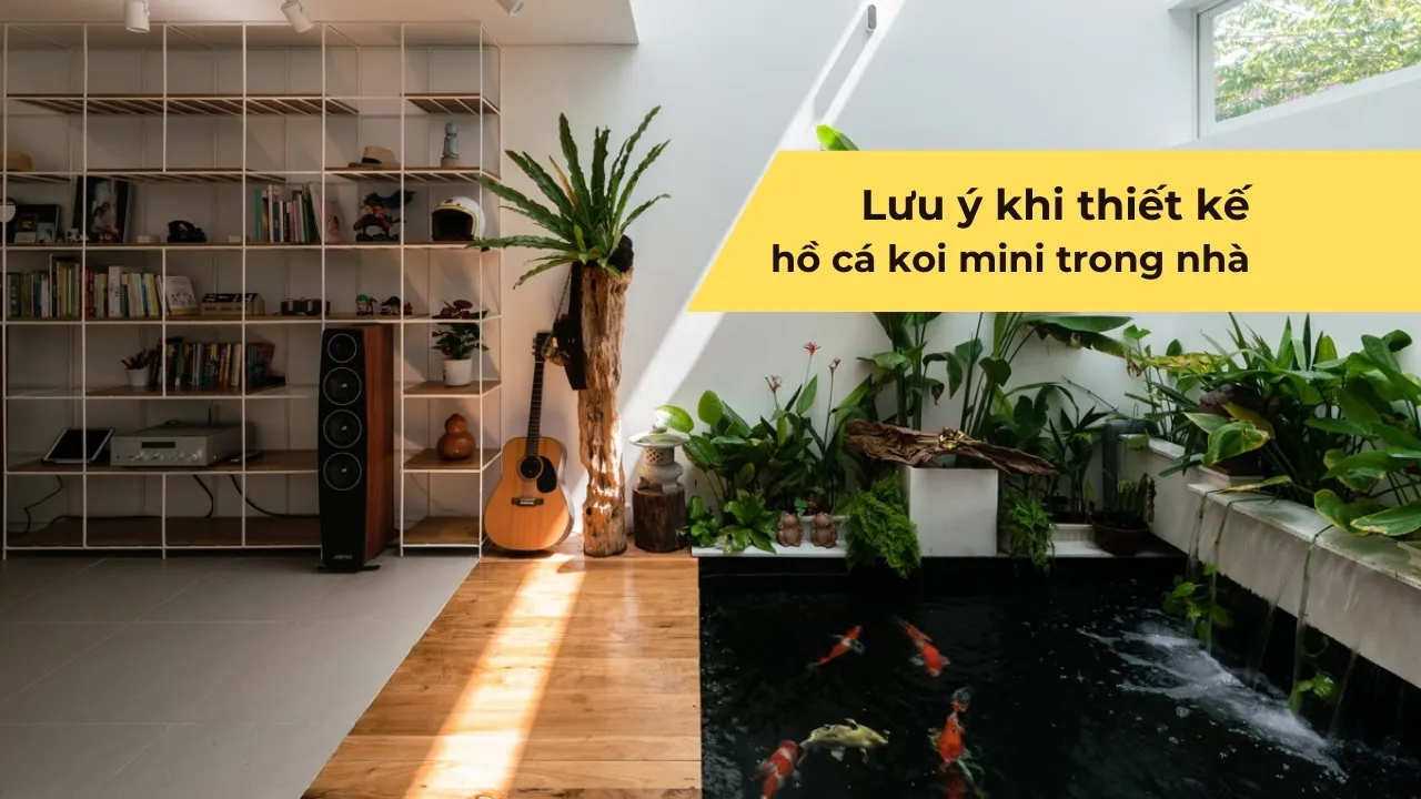 Lưu ý khi thiết kế hồ cá koi mini trong nhà chuẩn kỹ thuật, dễ bảo dưỡng