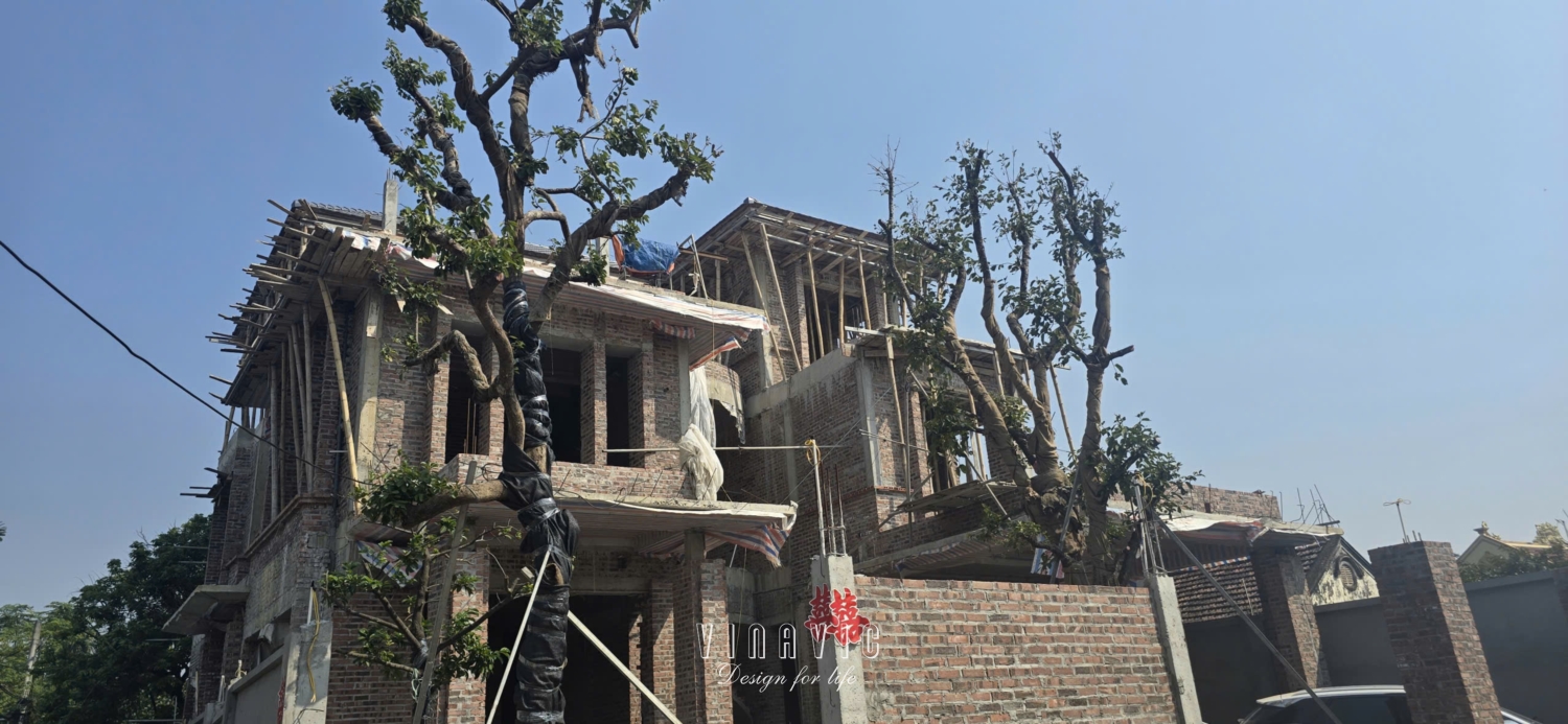 Thi công biệt thự 3 tầng hiện đại 17x26m (CĐT: Mr.Huy - Hà Nam) TCBT2251