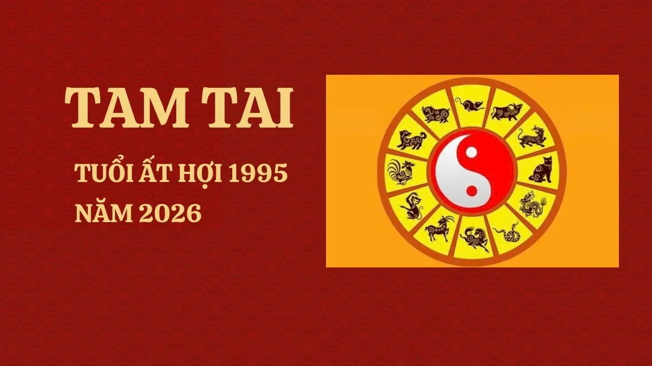 Tuổi Ất Hợi 1995 năm 2026 có phạm Tam Tai không?