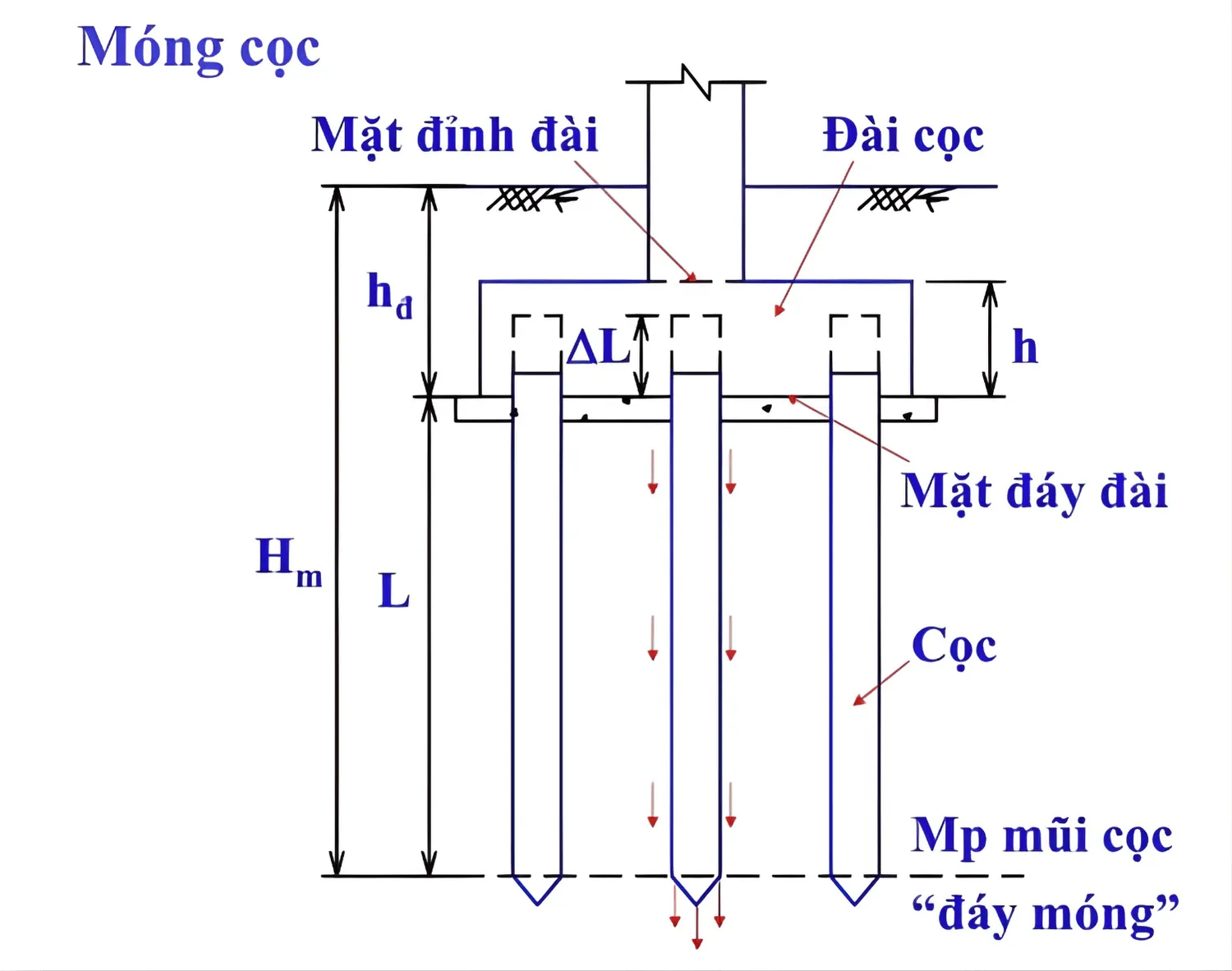 Bản vẽ kỹ thuật chi tiết kết cấu móng nhà 5 tầng thể hiện đài cọc và dầm móng vững chắc