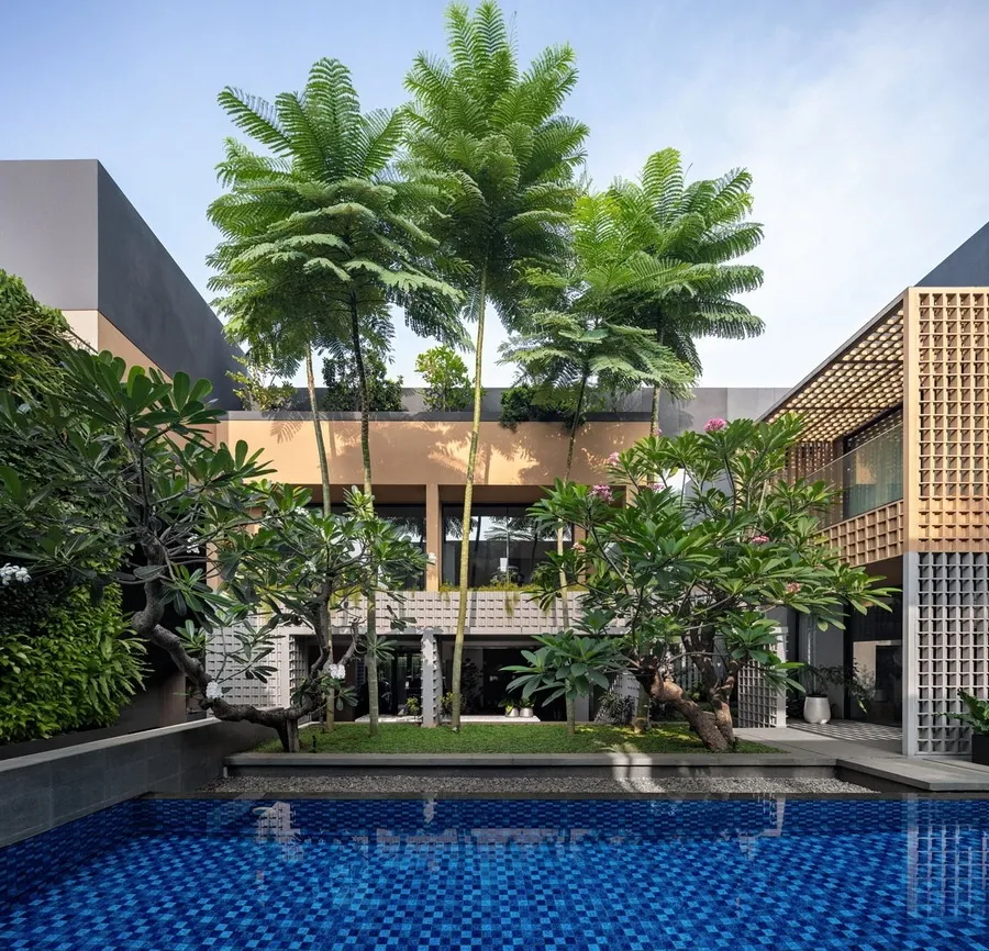 Cây hoa sứ thường xuất hiện trong khuôn viên sân vườn biệt thự