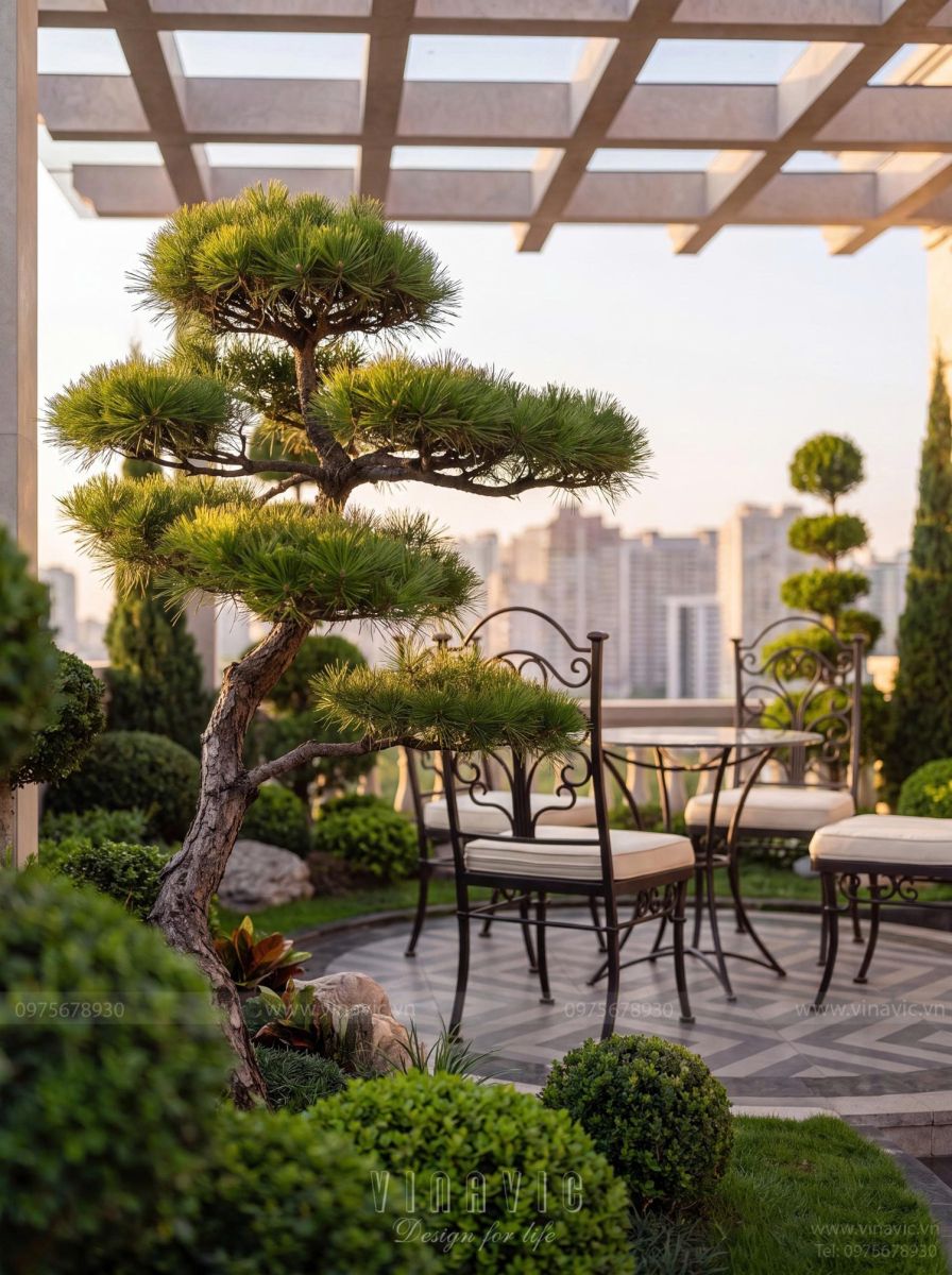 tầng tum được thiết kế như một sân thượng mở với hệ pergola hiện đại